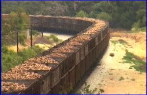 sugar beet train 1994