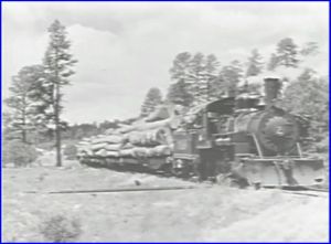 sw lumber 2 280 1959