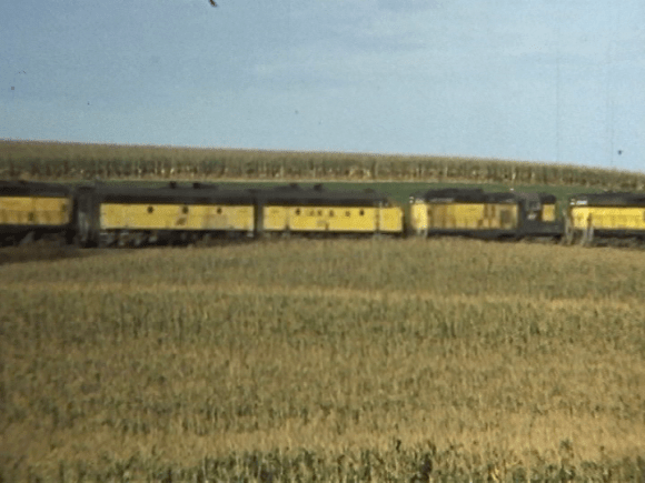 vlcsnap-2019-02-08-05h10m38s110