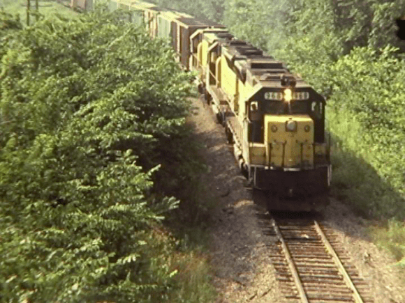 vlcsnap-2019-02-08-05h43m47s042