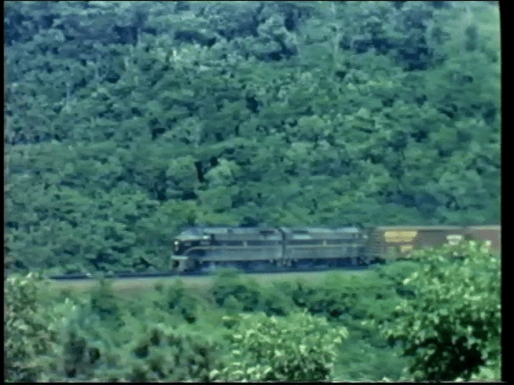 vlcsnap-2019-02-09-20h31m48s298