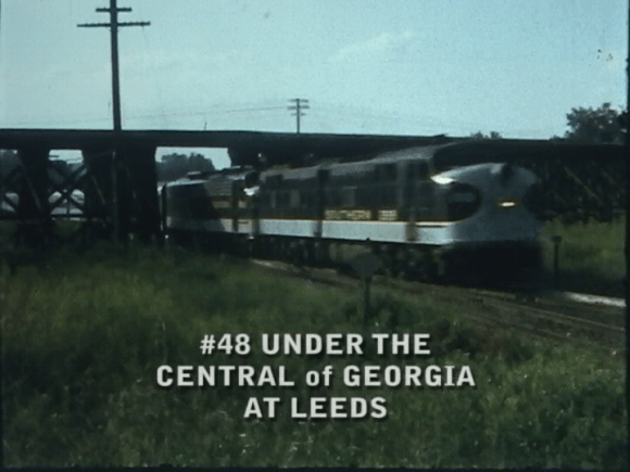 vlcsnap-2019-02-17-15h33m24s724