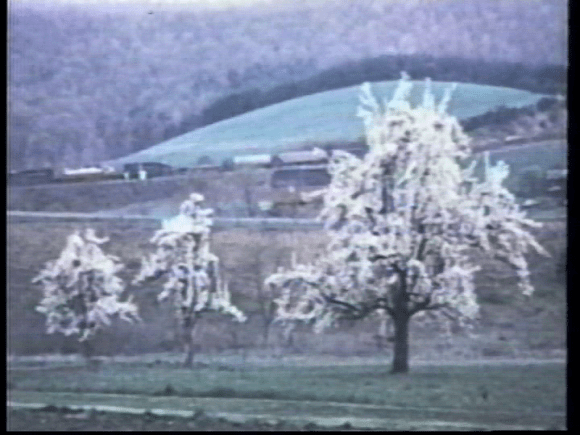 vlcsnap-2019-02-25-06h19m03s758