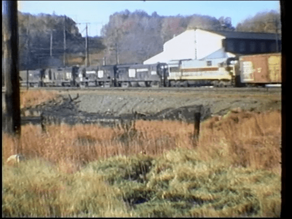 vlcsnap-2019-03-05-12h52m42s181