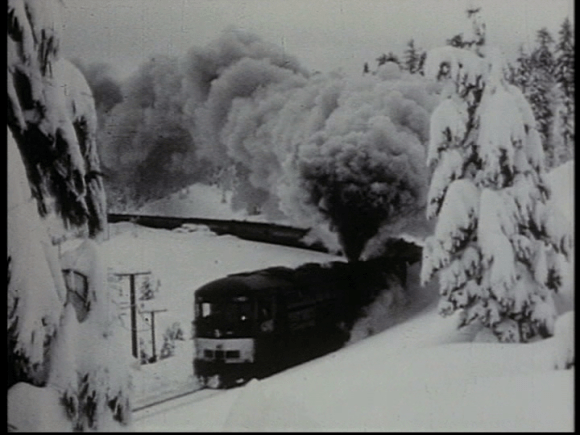 vlcsnap-2019-03-13-12h48m34s836