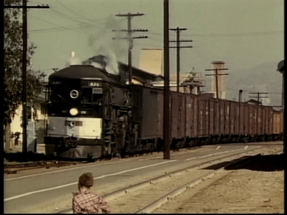 vlcsnap-2019-03-13-13h20m35s945