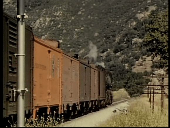 vlcsnap-2019-03-13-13h22m44s870