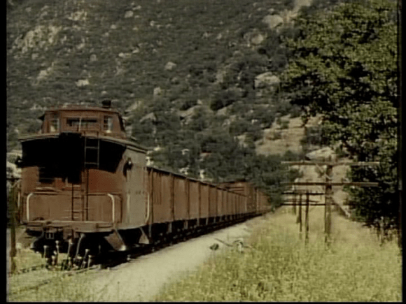 vlcsnap-2019-03-13-13h22m50s373