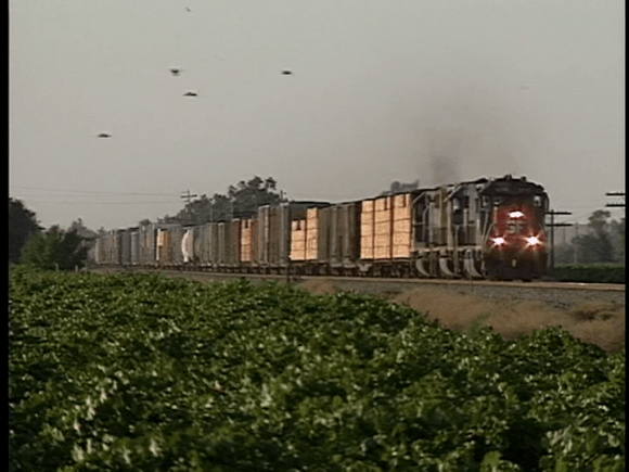 vlcsnap-2019-03-17-20h04m15s368