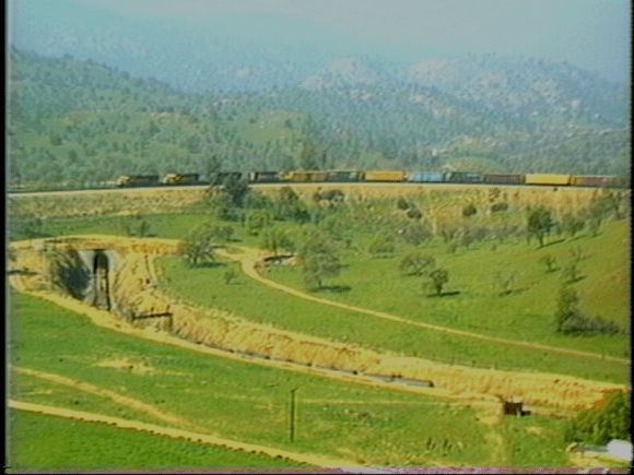 vlcsnap-2019-05-05-14h04m38s556