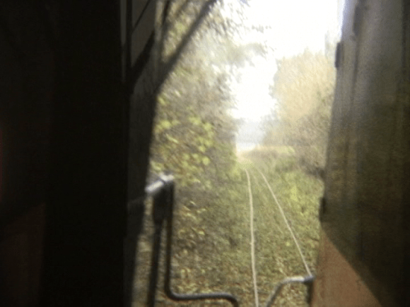 vlcsnap-2019-05-11-11h00m10s209