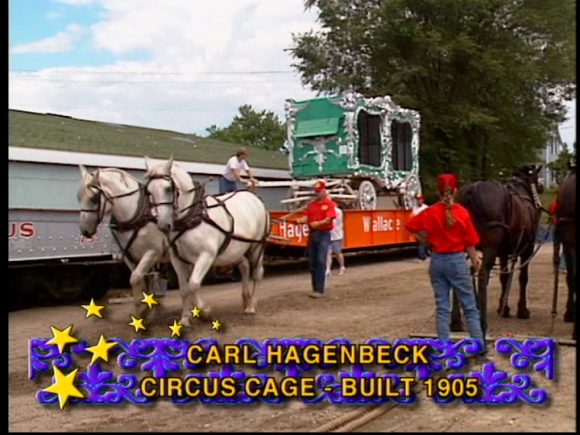 vlcsnap-2019-05-18-10h55m02s693