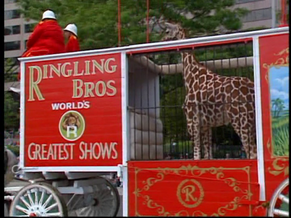 vlcsnap-2019-05-18-11h18m45s285