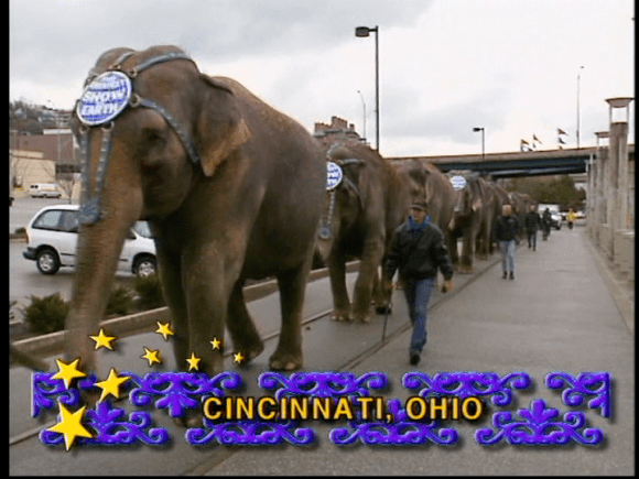 vlcsnap-2019-05-18-14h35m55s036