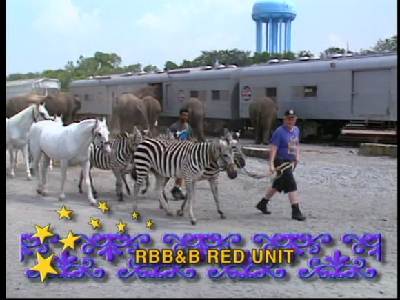 vlcsnap-2019-05-18-14h38m34s915