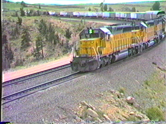 vlcsnap-2019-06-08-17h34m30s203