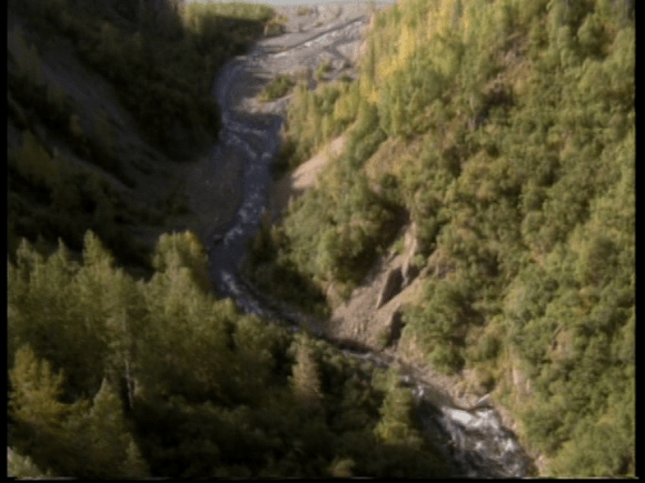 vlcsnap-2019-07-16-11h43m50s676