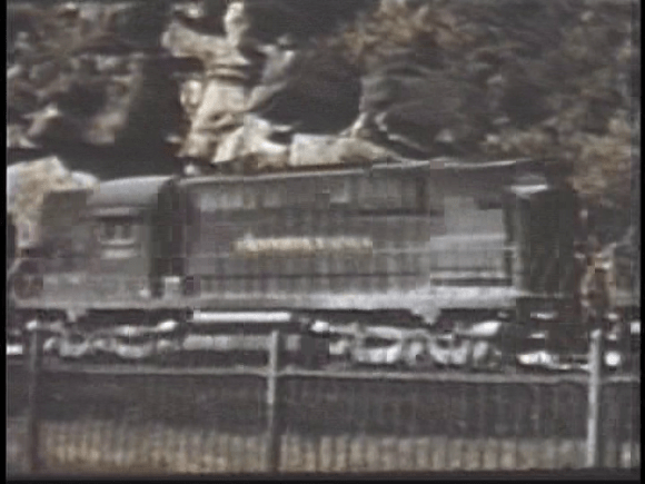 vlcsnap-2019-08-09-13h39m07s452