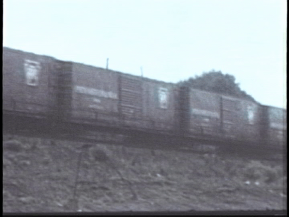 vlcsnap-2019-08-09-13h46m25s244