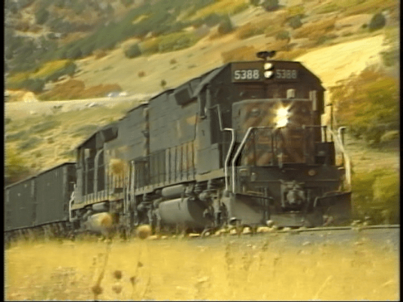 vlcsnap-2019-08-12-12h33m49s796