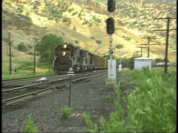 vlcsnap-2019-08-12-12h44m58s559