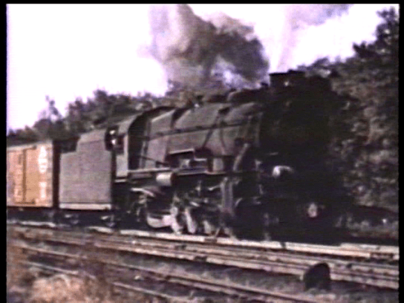 vlcsnap-2019-08-27-11h20m24s932