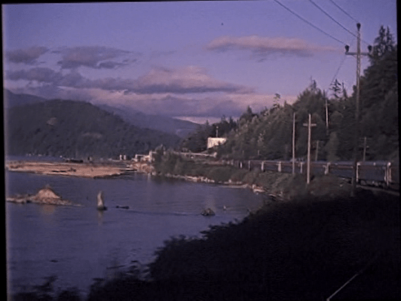 vlcsnap-2019-09-01-08h44m24s793