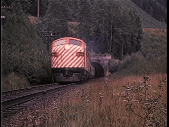 vlcsnap-2019-09-01-08h47m29s713