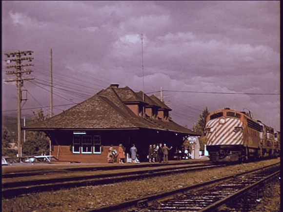 vlcsnap-2019-09-01-08h54m23s562