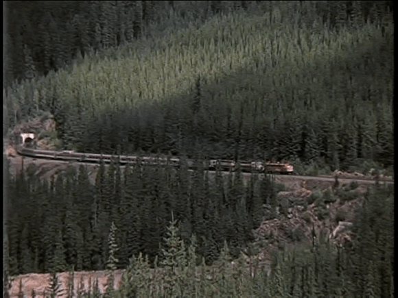 vlcsnap-2019-09-01-09h02m19s723