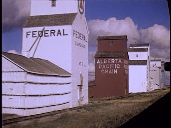 vlcsnap-2019-09-01-09h18m18s043