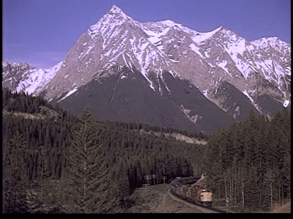 vlcsnap-2019-09-01-09h24m40s949