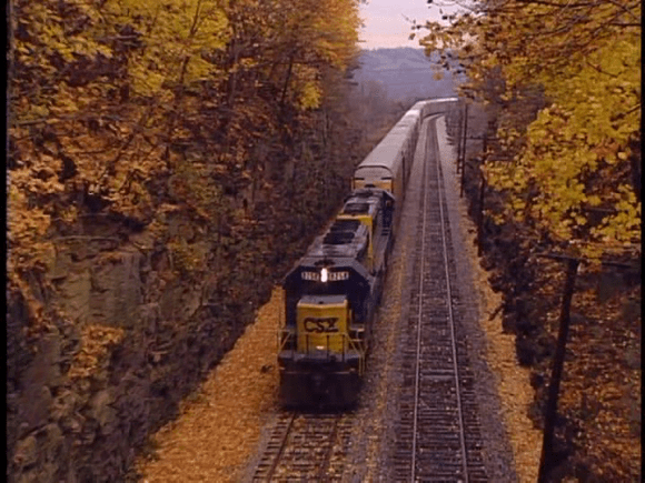 vlcsnap-2019-09-16-12h13m19s271