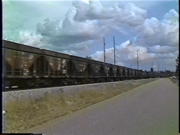 vlcsnap-2019-10-01-11h39m04s143