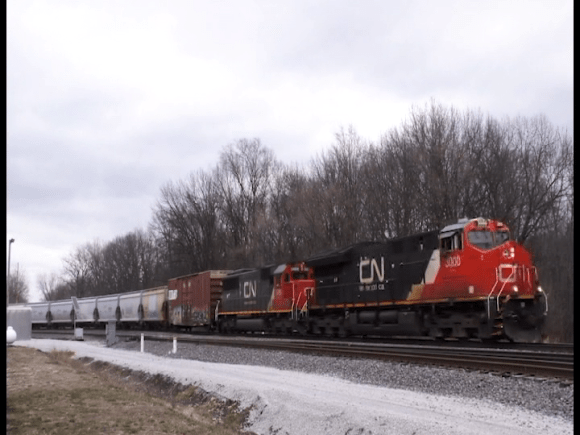 vlcsnap-2019-10-10-20h31m16s576