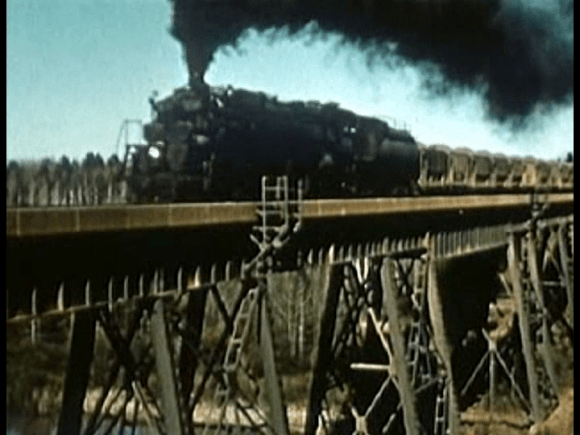 vlcsnap-2019-10-21-13h04m58s700