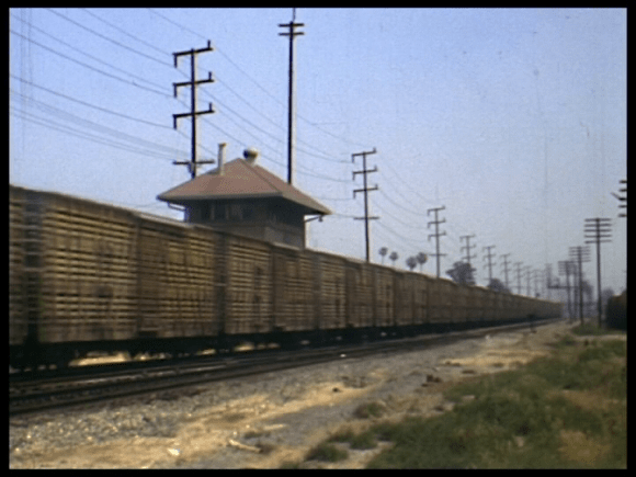 vlcsnap-2019-10-24-11h54m20s172