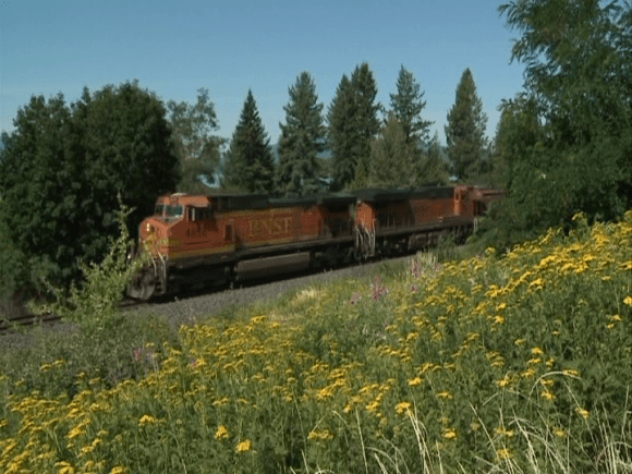 vlcsnap-2019-11-09-09h41m49s613